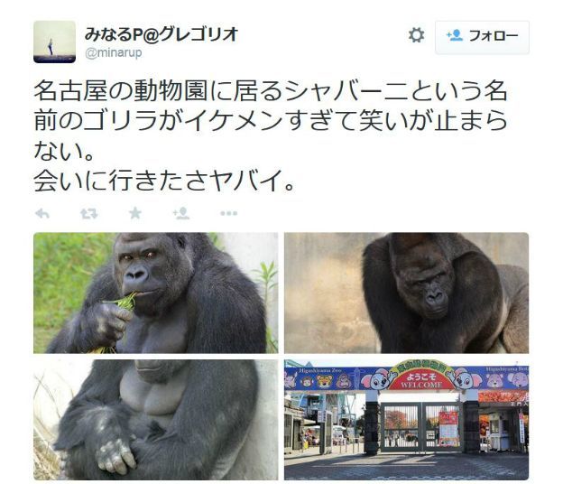 桰硱ȥܲ
