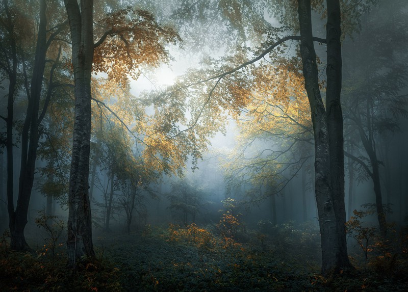 zӰVeselin Atanasovڰ͠ɰuɭrĔzƬ