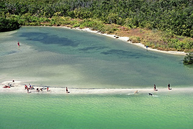 __(d)ݵСDog beach