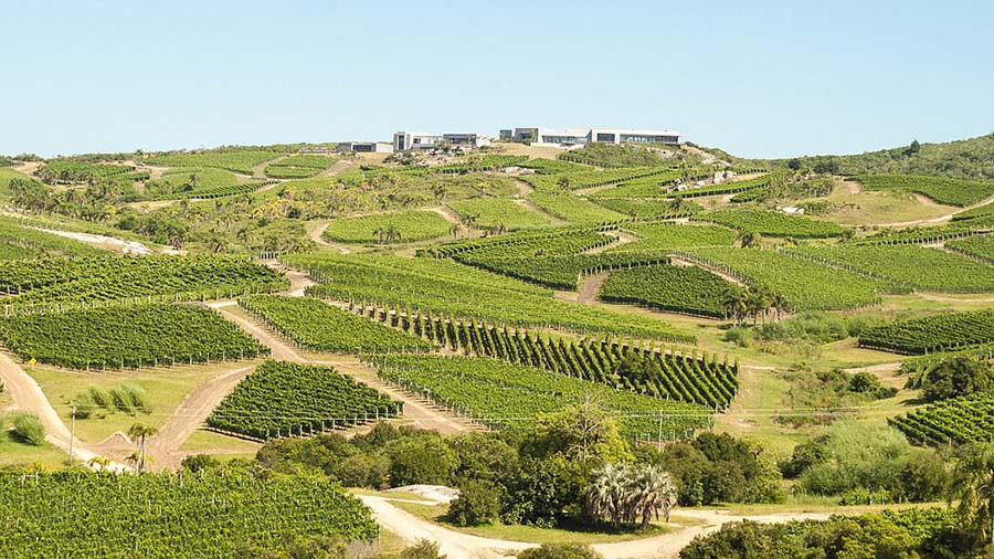 Bodega Garznш@ڶ
