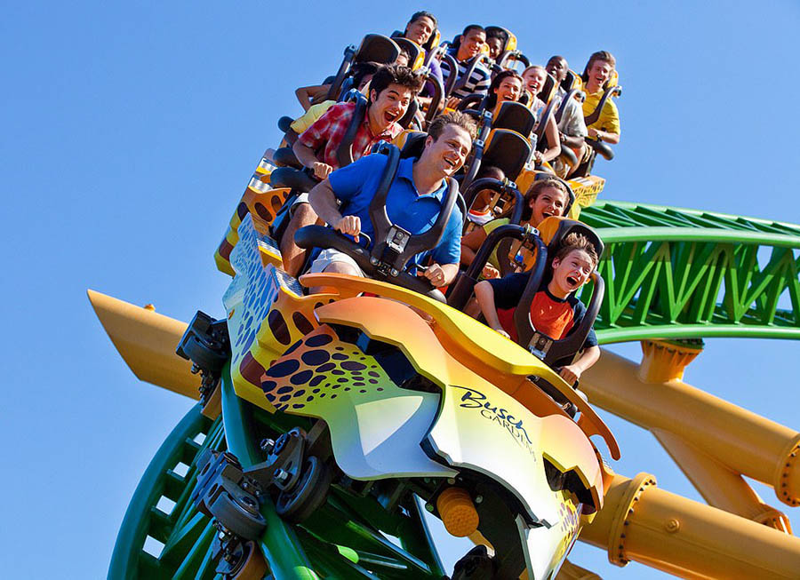 CCCheetah Hunt̹@񂾀·L^ɽ܇