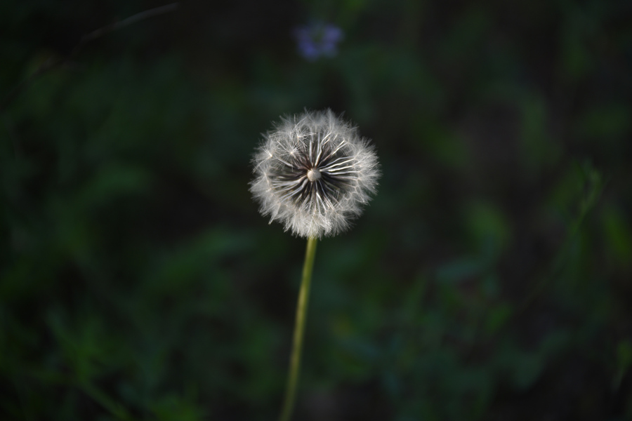 ICPhoto(qun)ƷՈ(qng)D(zhun)d