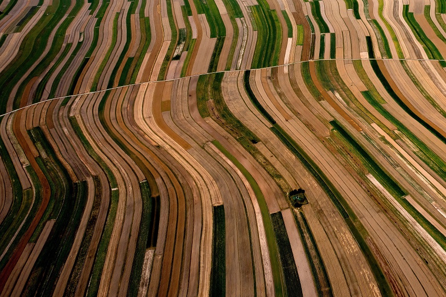 IC photo(qun)ƷՈD(zhun)d
