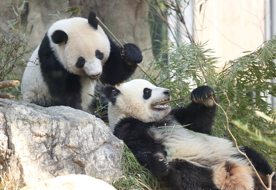 IC Photo(qun)ƷՈ(qng)D(zhun)d