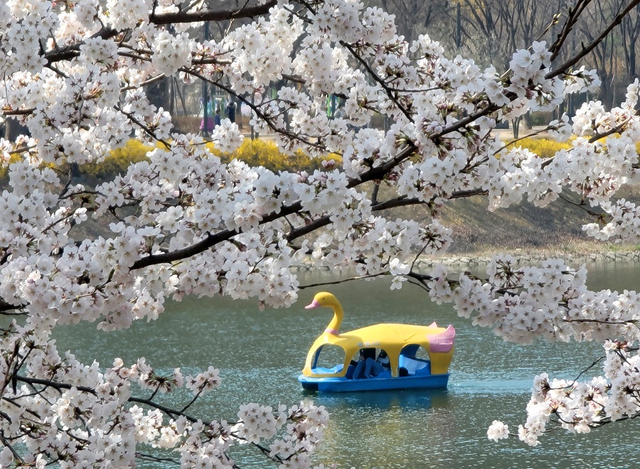 IC Photo(qun)ƷՈ(qng)D(zhun)d