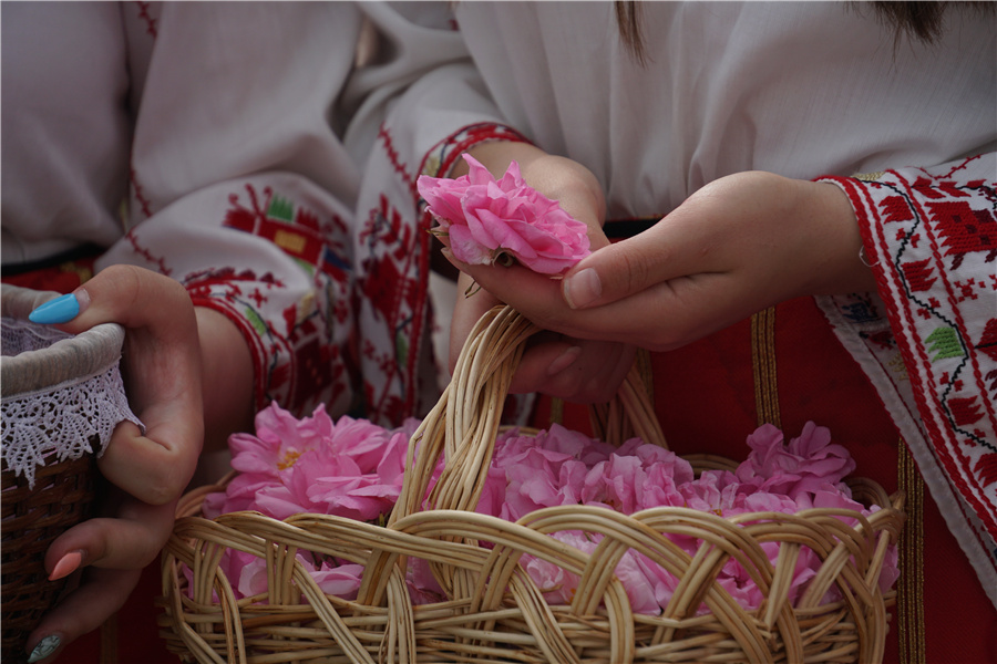 ICphoto(qun)ƷՈ(qng)D(zhun)d