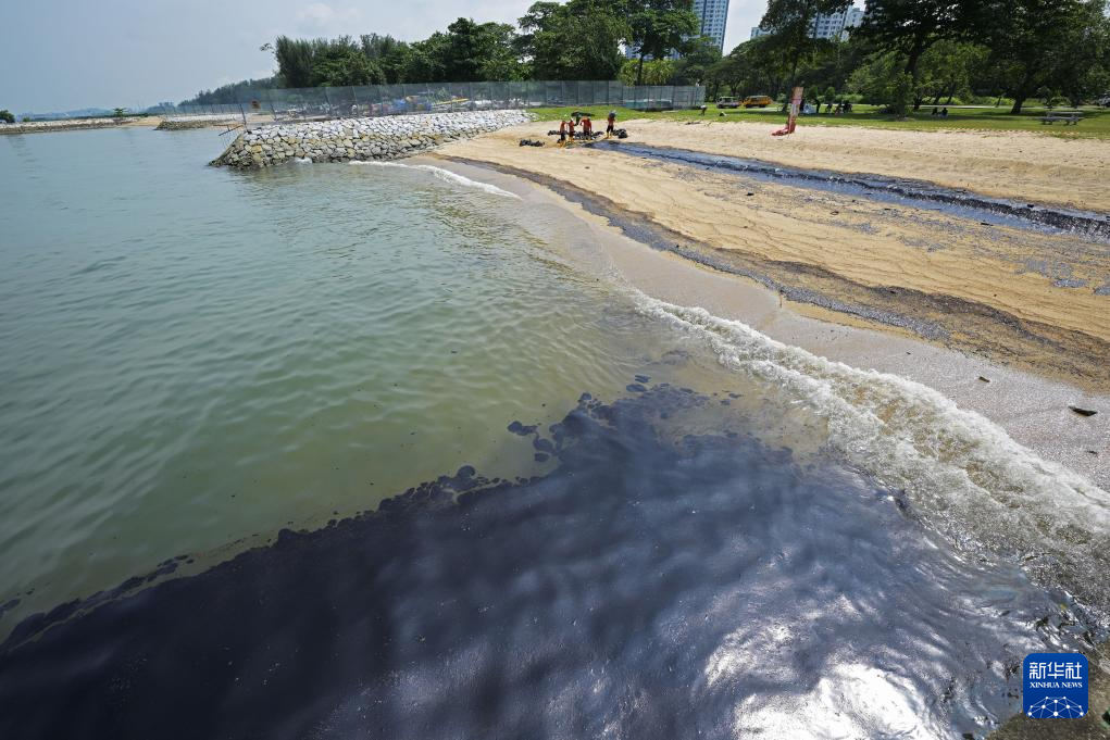 這是6月16日在新加坡東海岸公園拍攝的受到污染的海灘。