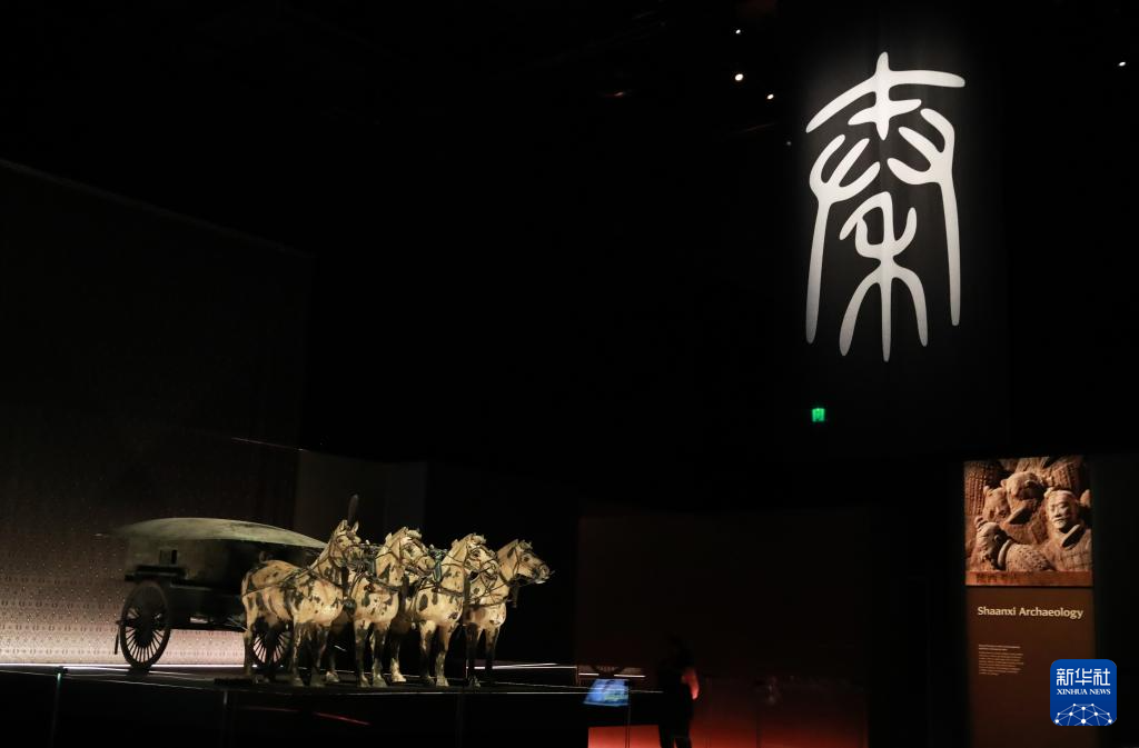　　這是6月25日在澳大利亞珀斯西澳博物館拍攝的展品。新華社記者 馬平 攝
